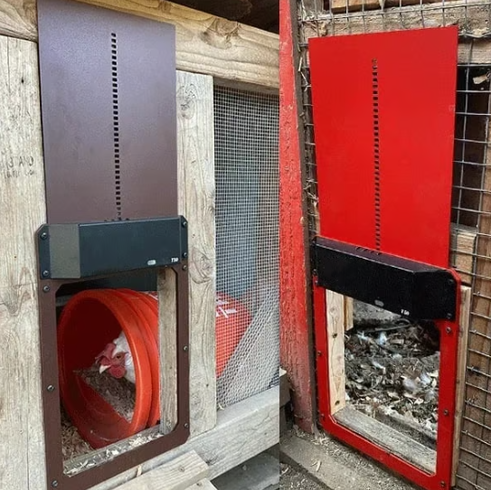 ChickDoor™ Puerta Automatica para Gallinero